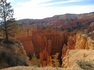 IMG_3664