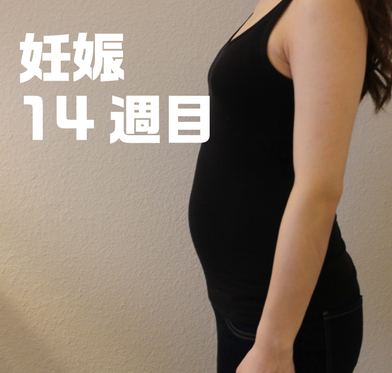 妊娠4ヶ月のお腹の大きさ＆3回目のアメリカ産婦人科検診[14w5days] リブアメ