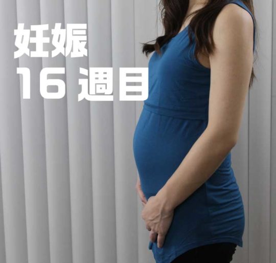 妊娠5ヶ月、16週目のお腹の写真