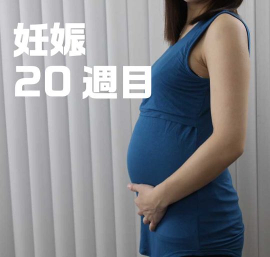 妊娠6ヶ月、20週目のお腹の写真