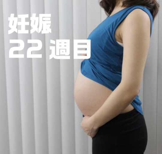 妊娠6ヶ月、22週目のお腹の写真