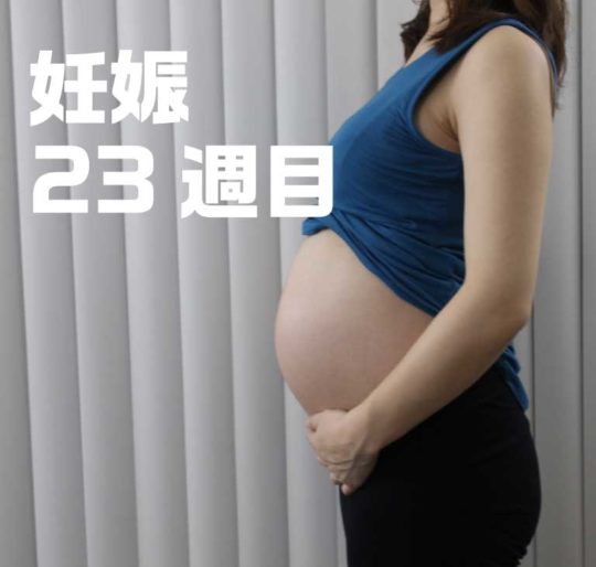 妊娠6ヶ月、23週目のお腹の写真