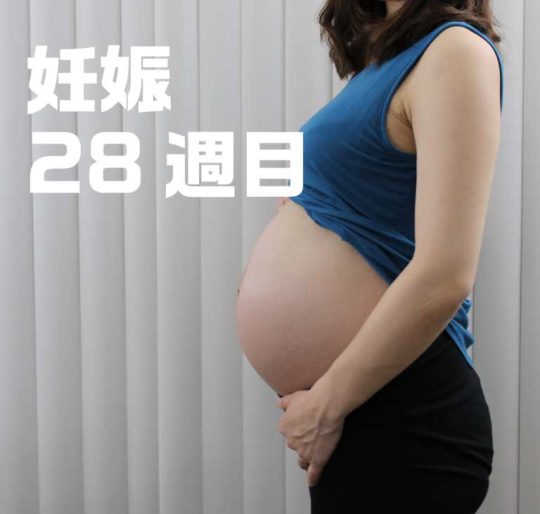 妊娠28週目お腹の大きさ