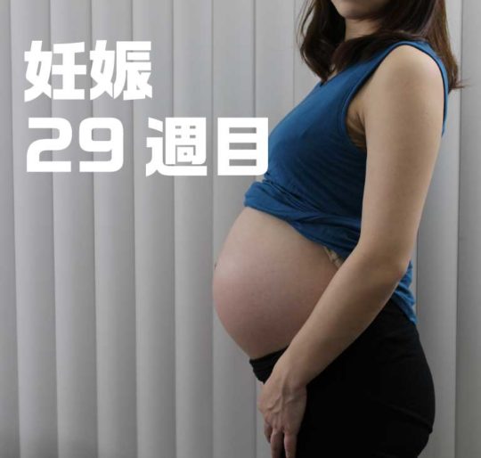 妊娠29週目お腹の大きさ