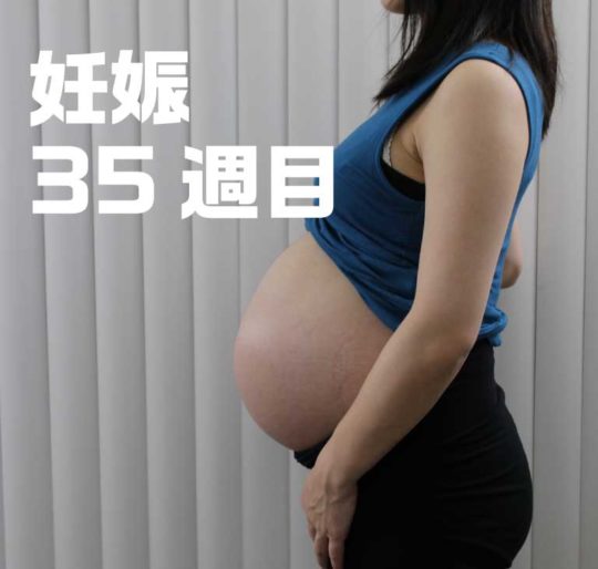 妊娠35週目お腹の大きさ