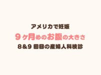 アメリカ式のつわり対策法 食べ物と妊娠初期のアドバイス 体験談 リブアメ 和ごころla